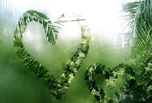 爱游戏ayx全站入口 -芝加哥公牛最新交易