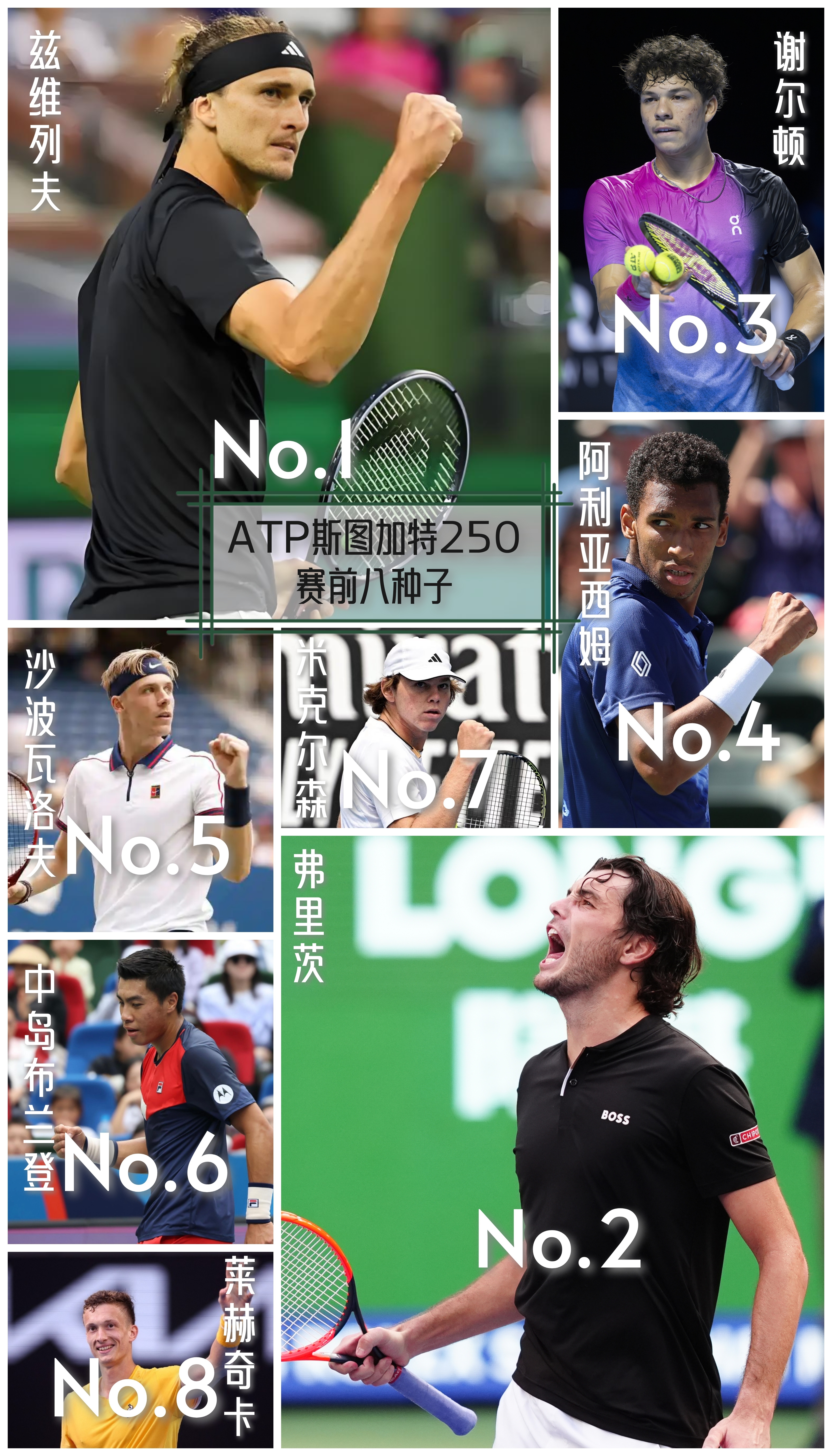  斯图加特对拜仁 